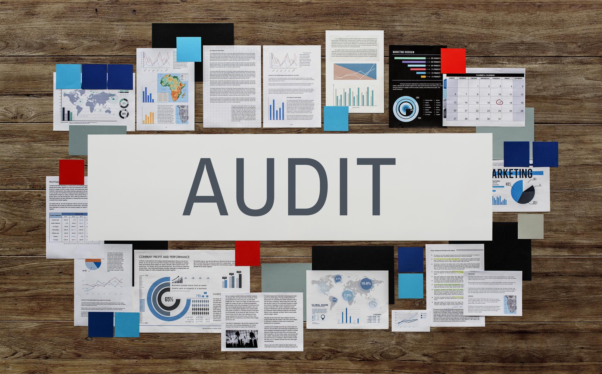 System Implementation & Audits